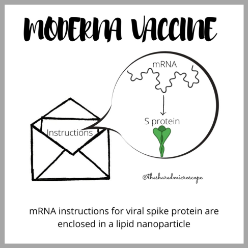 moderna vaccine for covid-19 - fancy comma blog